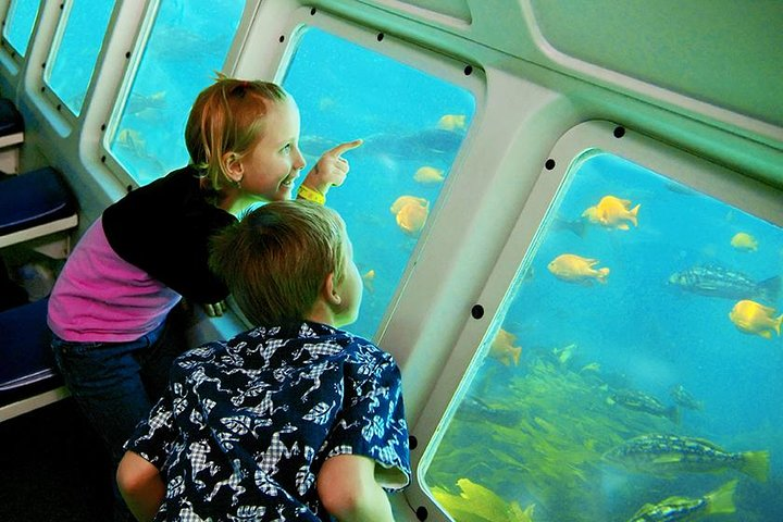 Semi Sub takes you underwater to view the abundant ocean life. Always a "wow" with the kids.